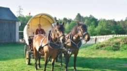 Pan Jan stronił od kempingów, preferując biwak na polanie czy korzystając z gościnności rolników i właścicieli stajni. - zdjęcie 2